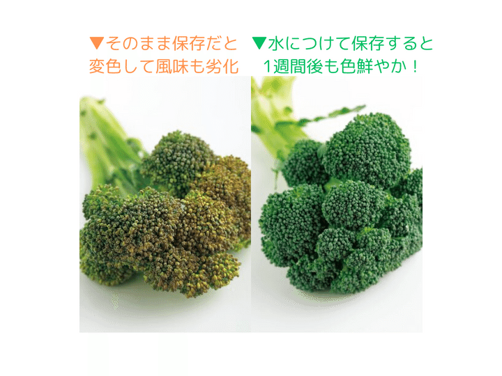 保存方法の違いで、1週間後、こんなに違いが！
