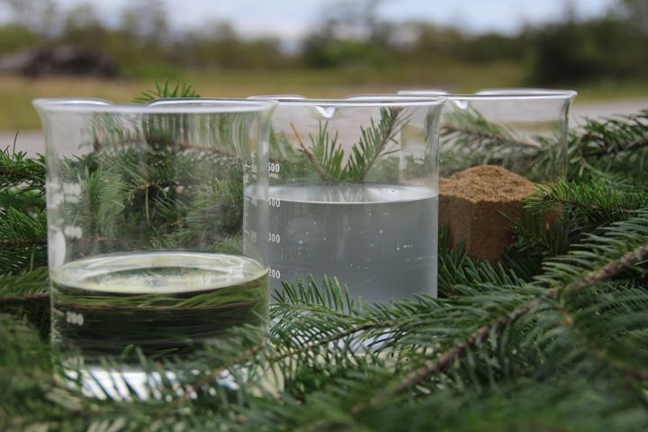 お部屋で森林浴気分！北海道産トドマツのエッセンシャルオイルでリフレッシュ。