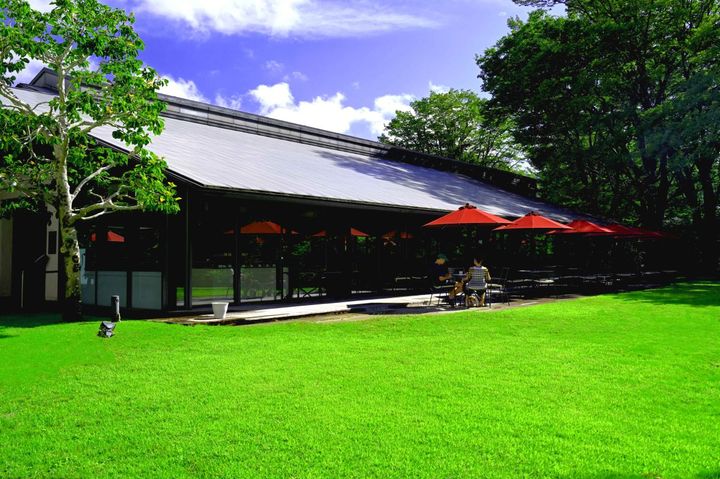 グリーンの芝生に赤いパラソルが映える