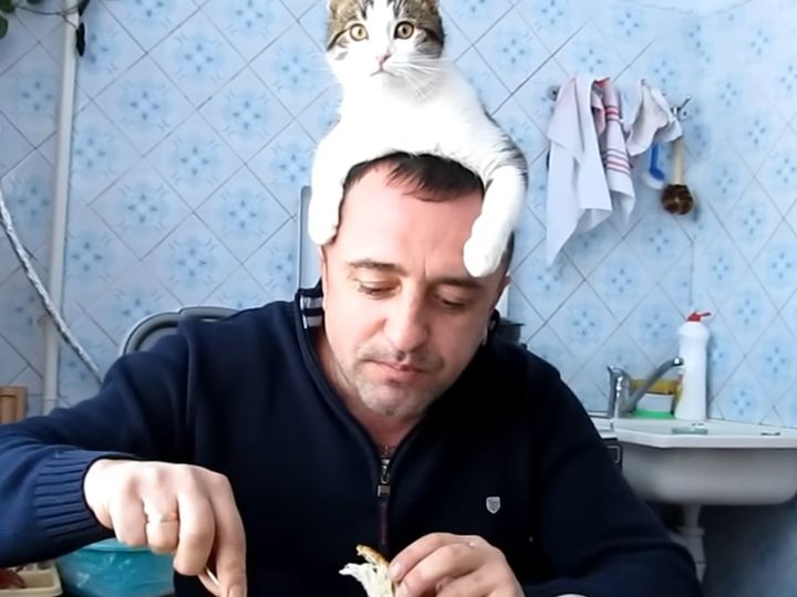 ご主人が大好きすぎる！？