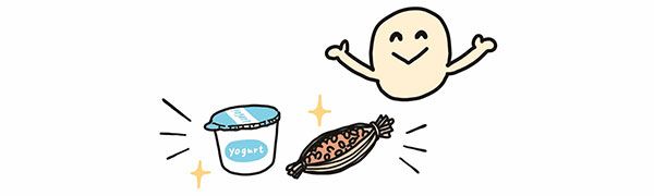 発酵／ヨーグルト、納豆