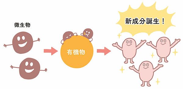 微生物の働きによって有機物が変化→新成分誕生！