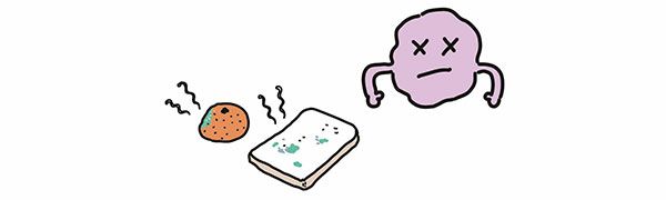 腐敗／ミカンが腐る、パンにカビが生える