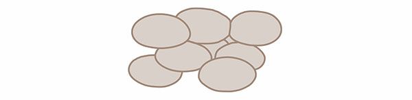 酢酸菌／イラスト