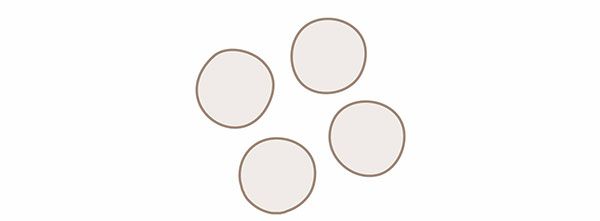 乳酸菌／イラスト