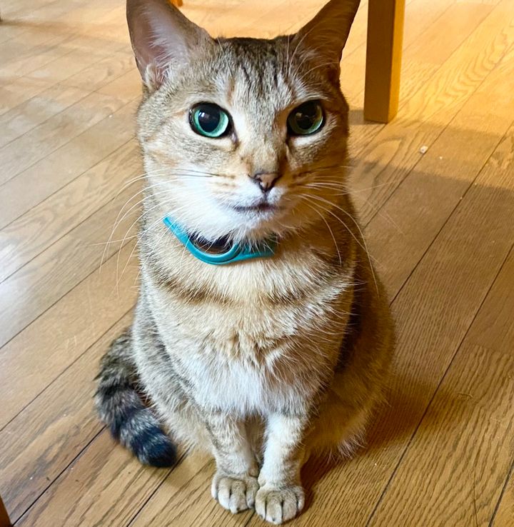 人見知りをしない好奇心旺盛なミータン