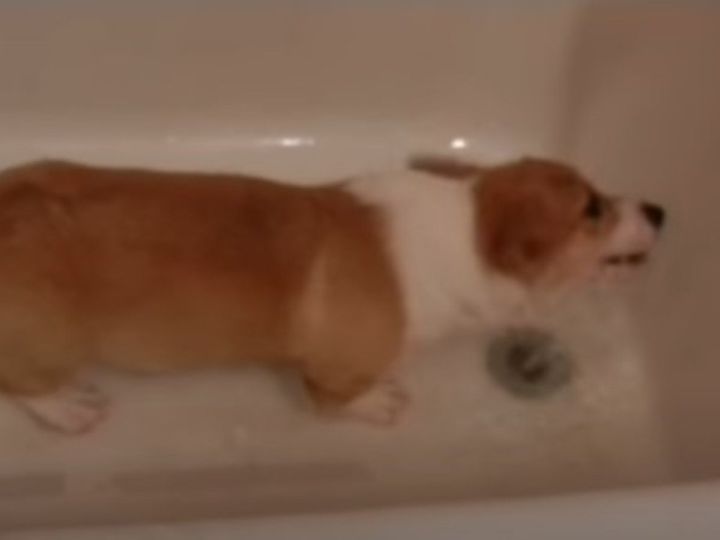 夢中すぎてこっちを見てくれない！