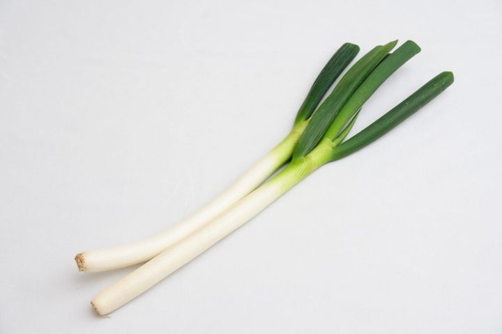 冷蔵庫で長ネギをうまく保存するコツは？