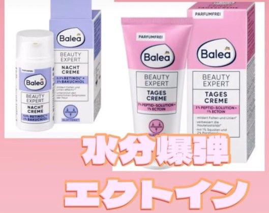 エクトインイメージ画像