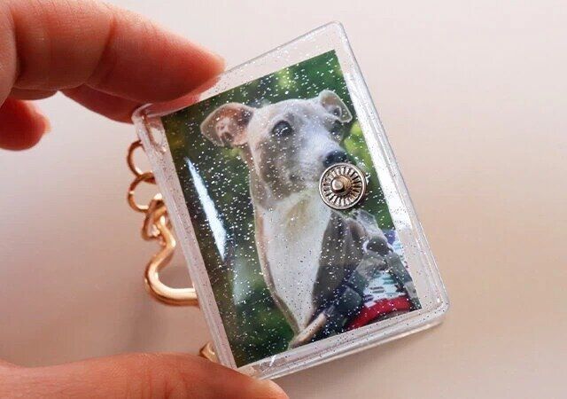 ダイソーのアルバムキーホルダー（3.3cm×4.3cm、16ポケット、星リング付）に写真を入れた様子