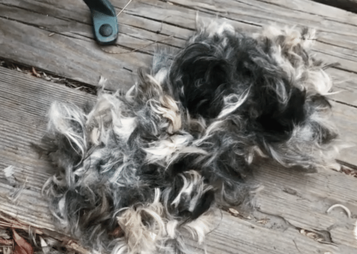 床で寝ている愛犬に声をかけても反応がない！ あれ？よく見ると