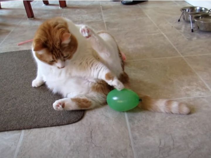 気になっちゃうよね…