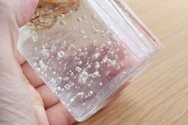 100均ダイソーのお洒落なクリアプランツ