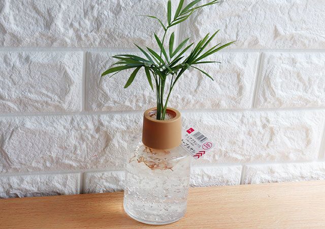 100均ダイソーのお洒落なクリアプランツ
