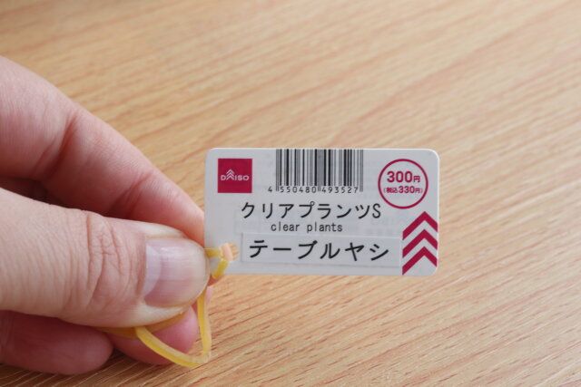 100均ダイソーのお洒落なクリアプランツ