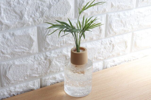 100均ダイソーのお洒落なクリアプランツ