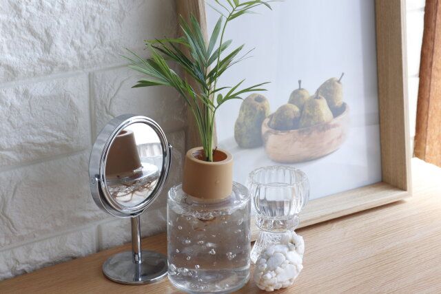 100均ダイソーのお洒落なクリアプランツ