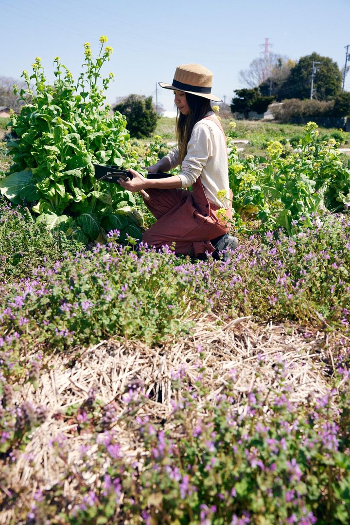 作業する衣川さん