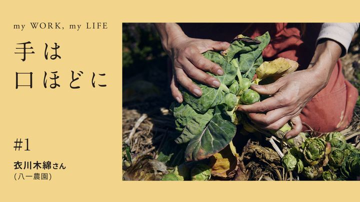 手は口ほどに#1衣川木綿さん＿八一農園