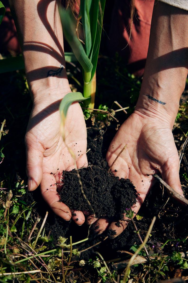 驚くほど空気を含んだ柔らかい土