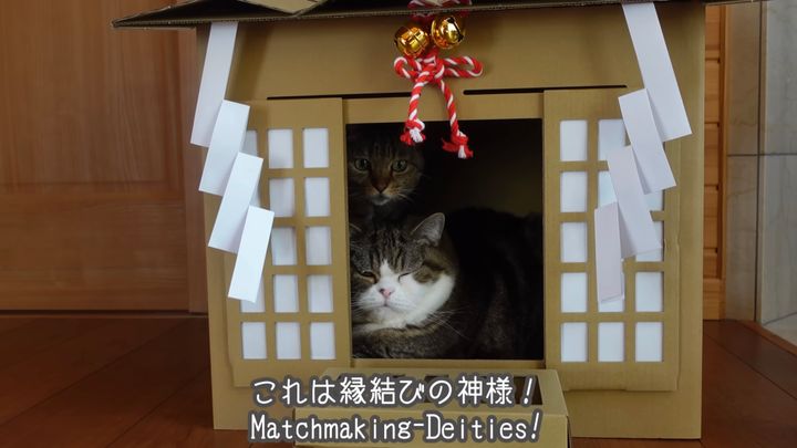 拝むほど御利益マシマシ猫神社、金運厄除け縁結びまで