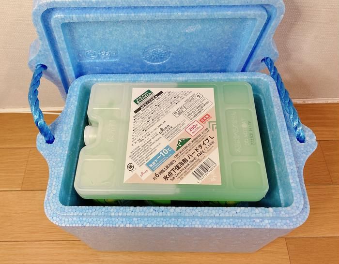 ダイソーのクーラーボックスに保冷剤を入れている画像