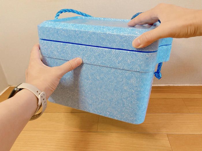 ダイソーのクーラーボックスの画像