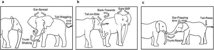 ゾウの挨拶のイメージ図