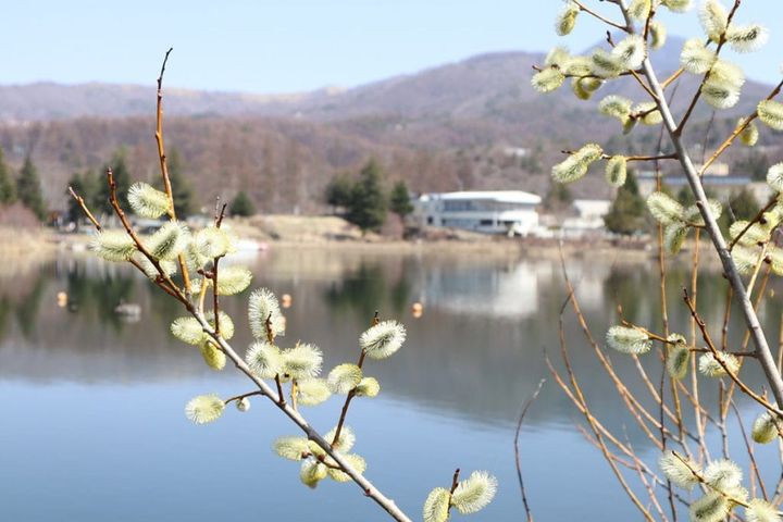 手ぶらキャンプにおすすめ：タイニーガーデン 蓼科