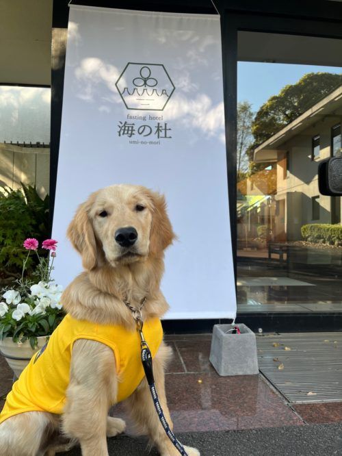 海の杜ファスティングホテル