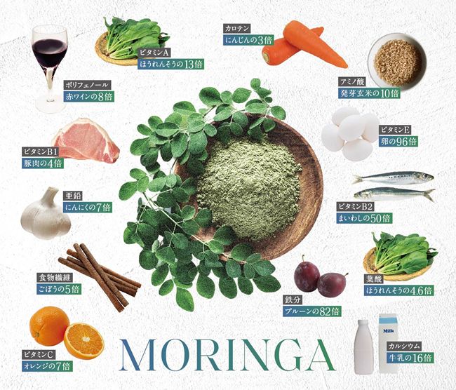 海の杜ファスティングホテル