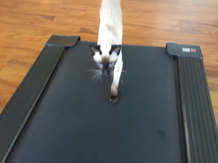 ひたむきすぎて…応援したくなる！