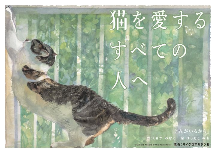 保護猫との暮らしを描いた猫絵本、発売記念パネル展が5月末まで開催中