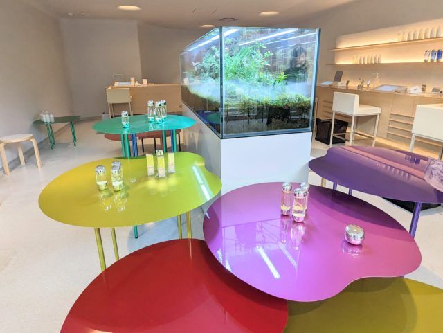 イプサ店内全体