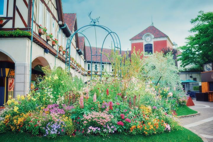 ウェルカムガーデン