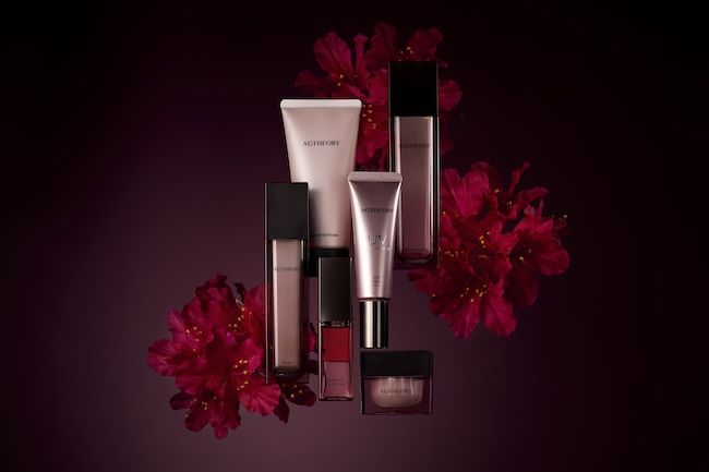 アクシージア「新・エイジーセオリー」シリーズ