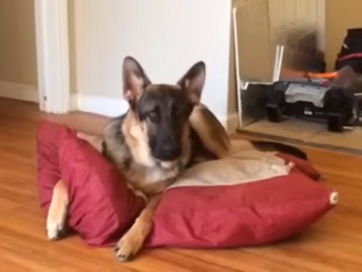 この表情である