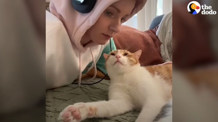 飼い主の彼氏だけに首ったけな猫、彼氏のフリした飼い主を瞬時に見破る