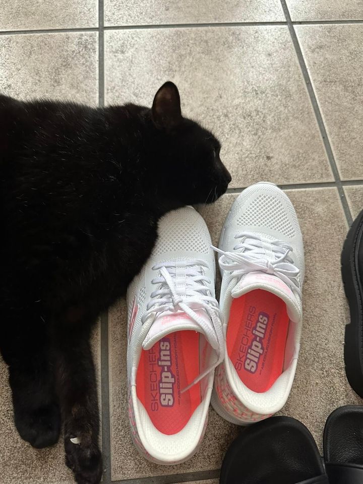 新品の靴にマーキングをする黒猫のクロくん