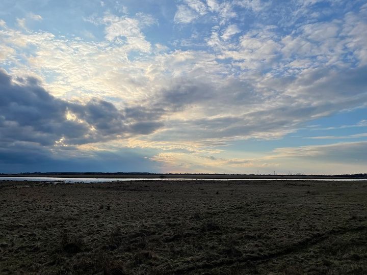 さまざまな種類の野鳥を観察できる自然保護区。デンマークは山が一つもないので、どこまでも続く水平線的な風景が定番。