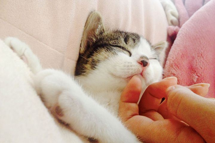 睡眠のイメージ