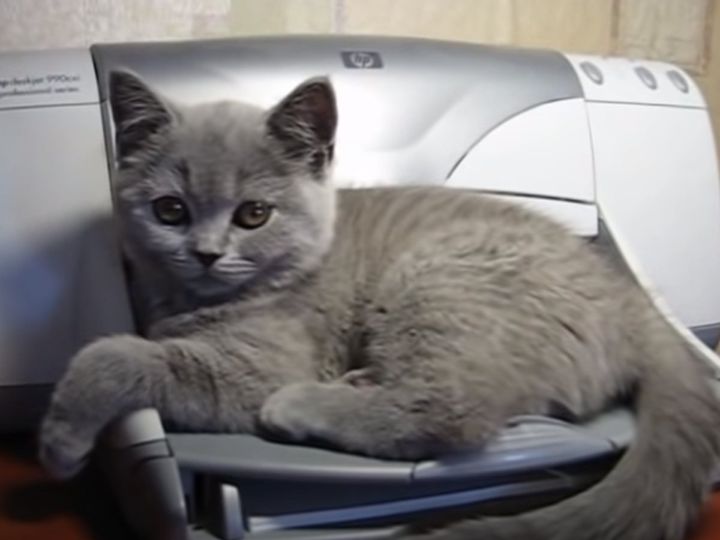 くつろぎタイムが一転…