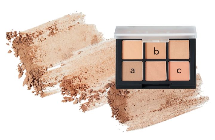 小顔メイクにおすすめのシェーディング_Dinto ブラーフィニッシュアイシャドウ 702