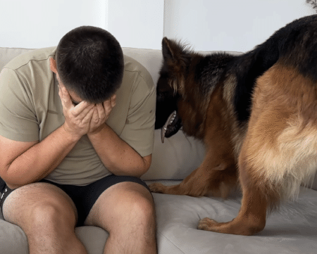 泣いている飼い主を見た犬さんの反応が、予想外すぎて涙も止まっちゃった♡