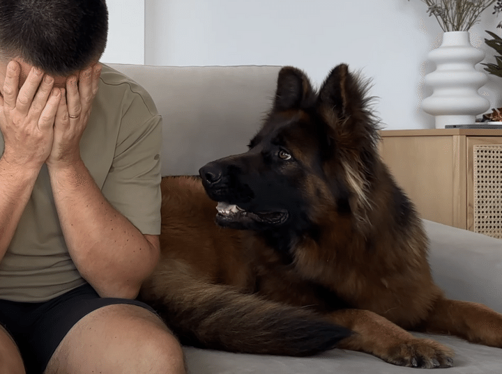 泣いている飼い主を見た犬さんの反応が、予想外すぎて涙も止まっちゃった♡