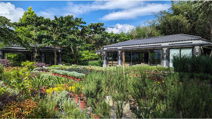 ティーツリーやローズマリーなど様々な種類のハーブ