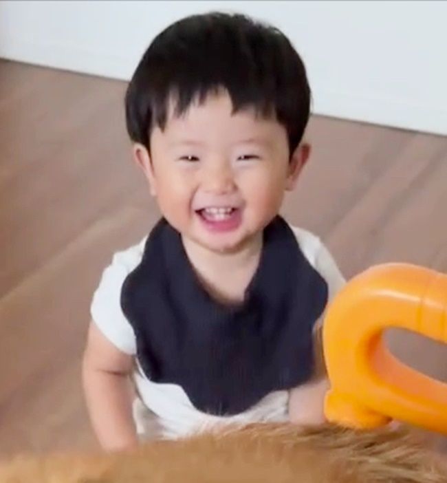 赤ちゃんのおもちゃに座るわんこ