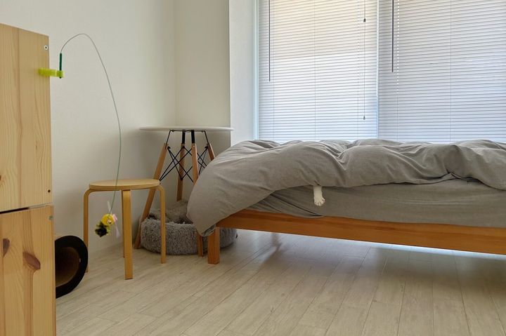 布団から猫の片手がはみ出している現場写真