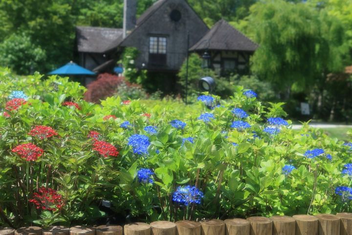 @箱根ガラスの森美術館