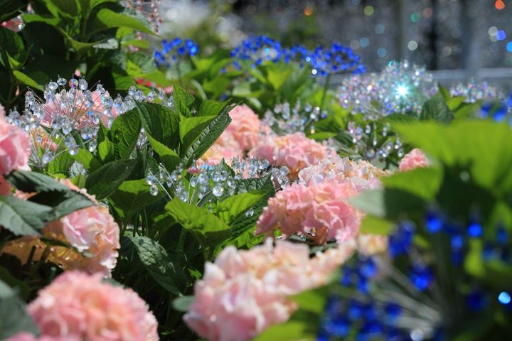 @箱根ガラスの森美術館